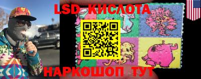 крисы Кингисепп