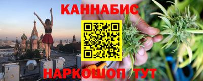 крисы Кингисепп