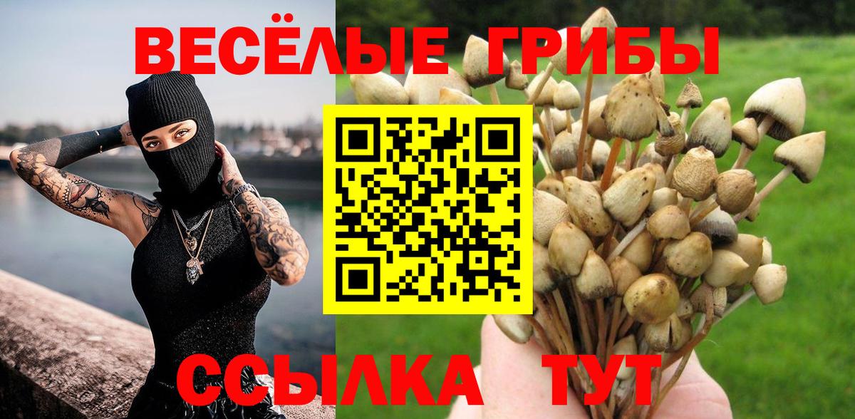 Галлюциногенные грибы Magic Shrooms Вологда