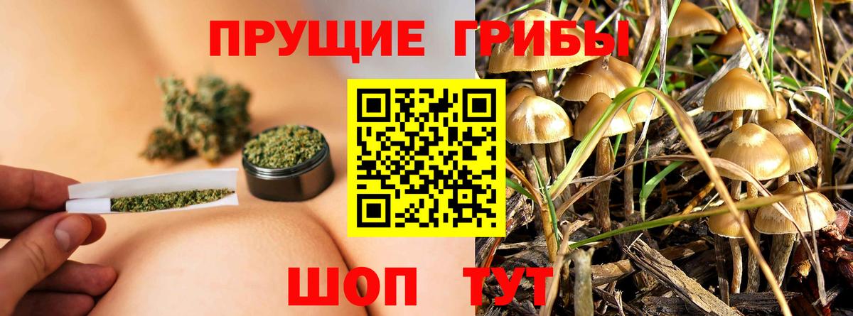 Вологда  Псилоцибиновые грибы Magic Shrooms  Вход с VPN 